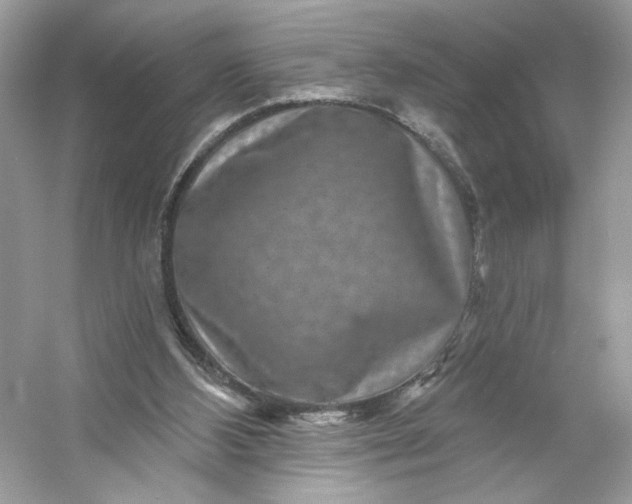 X0000053140108200507251826