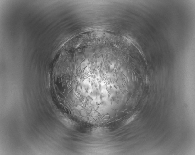 X0000053140109200507251826