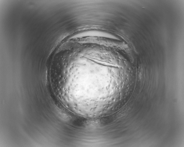 X0000053140110200507251826