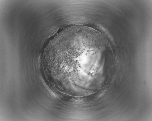 X0000053140113200507251826