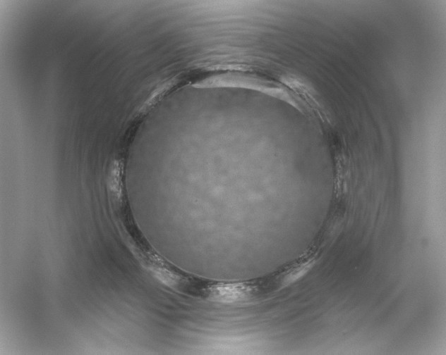 X0000053140121200507251825