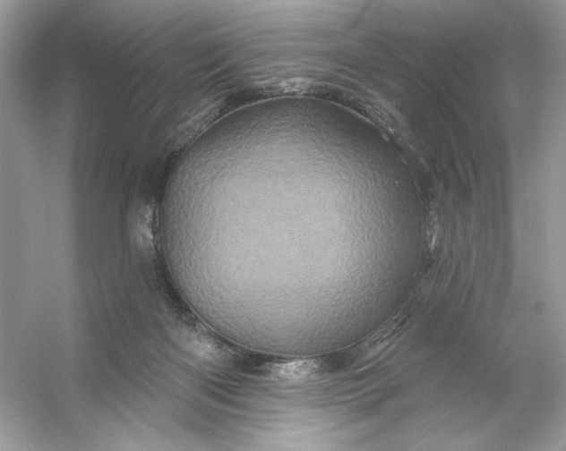 X0000053140122200507251825