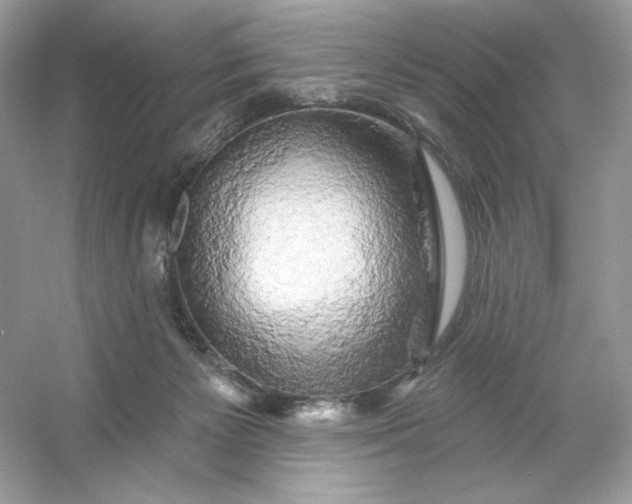 X0000053140125200507251825