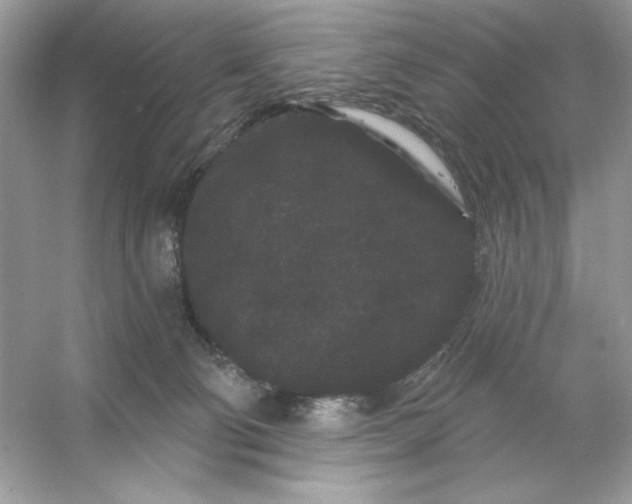 X0000053140130200507251825