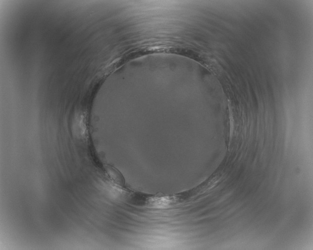 X0000053140131200507251825
