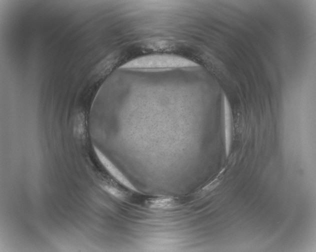 X0000053140132200507251825