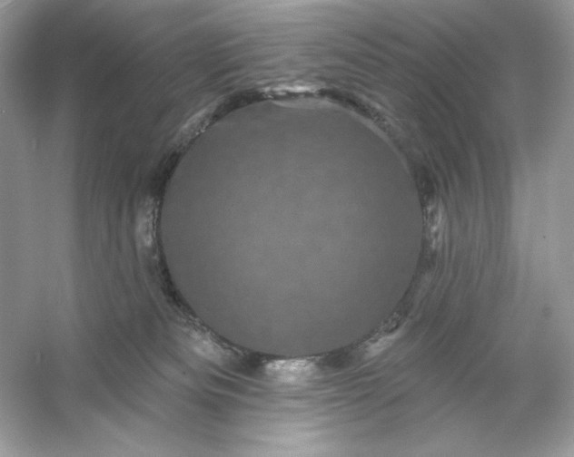 X0000053140133200507251825