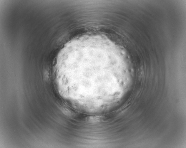 X0000053140134200507251825