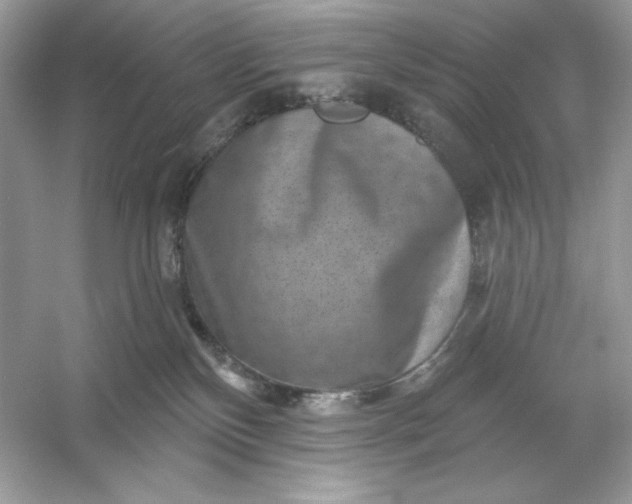 X0000053140136200507251825