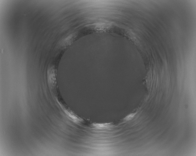X0000053140137200507251825