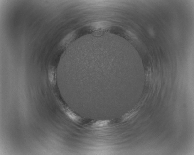 X0000053140138200507251825