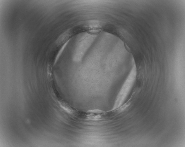 X0000053140140200507251825