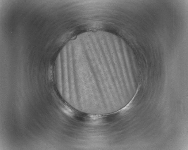 X0000053140144200507251825