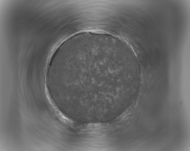 X0000053140145200507251824