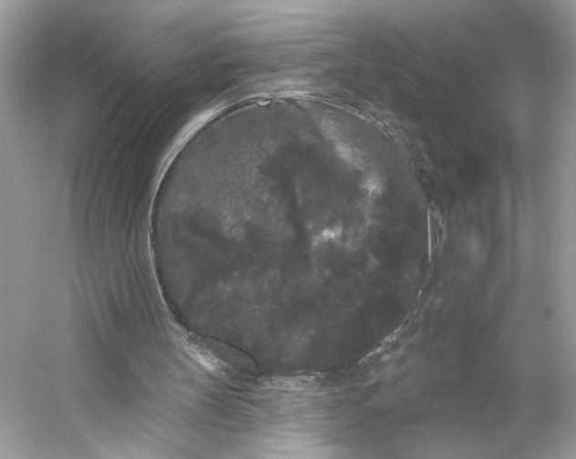 X0000053140147200507251824