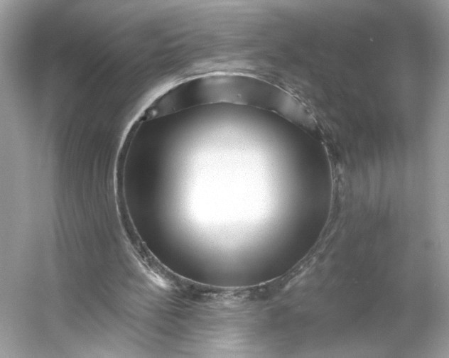 X0000053140148200507251824