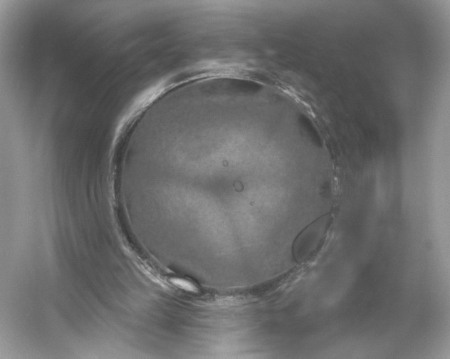 X0000053140149200507251824