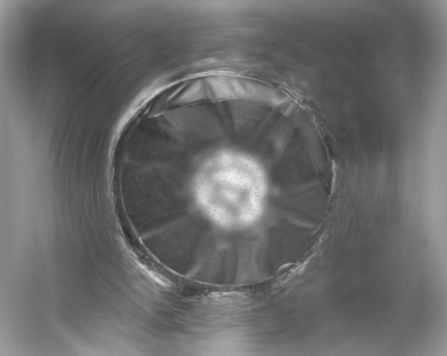 X0000053140150200507251824