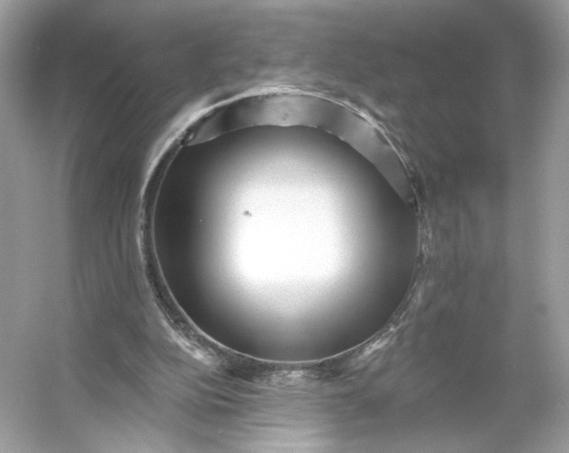 X0000053140152200507251824