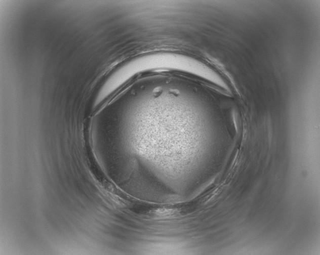 X0000053140154200507251824