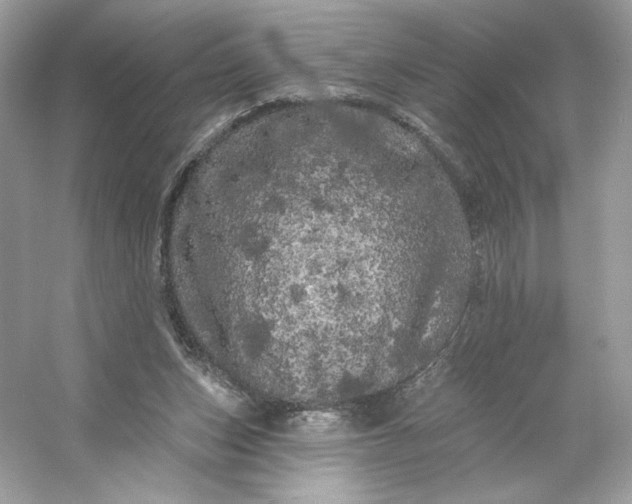 X0000053140159200507251825