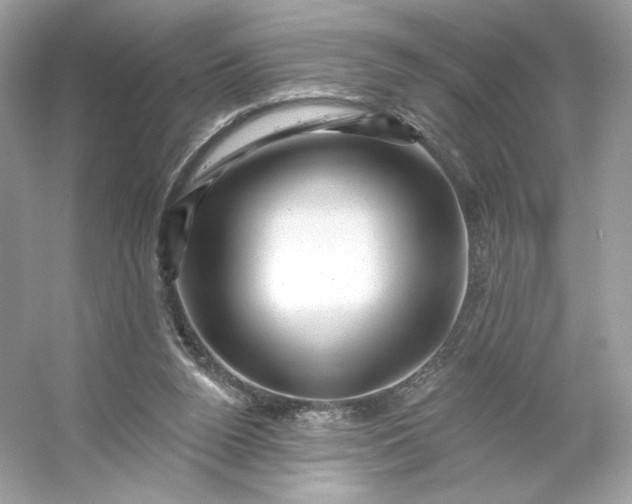 X0000053140160200507251825