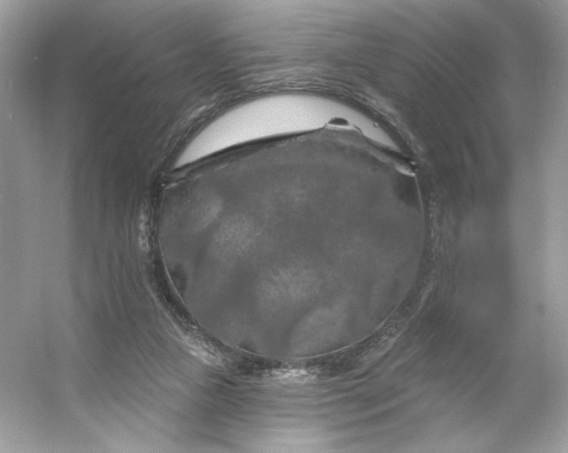 X0000053140161200507251825