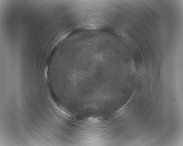 X0000053140166200507251825