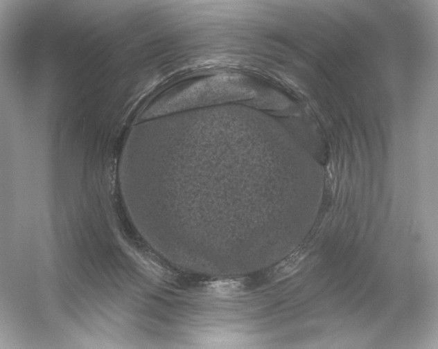 X0000053140168200507251825