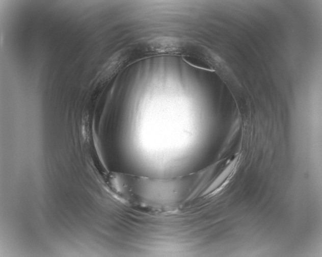 X0000053140170200507251825