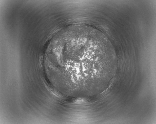 X0000053140171200507251825