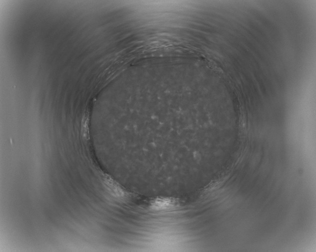 X0000053140177200507251825