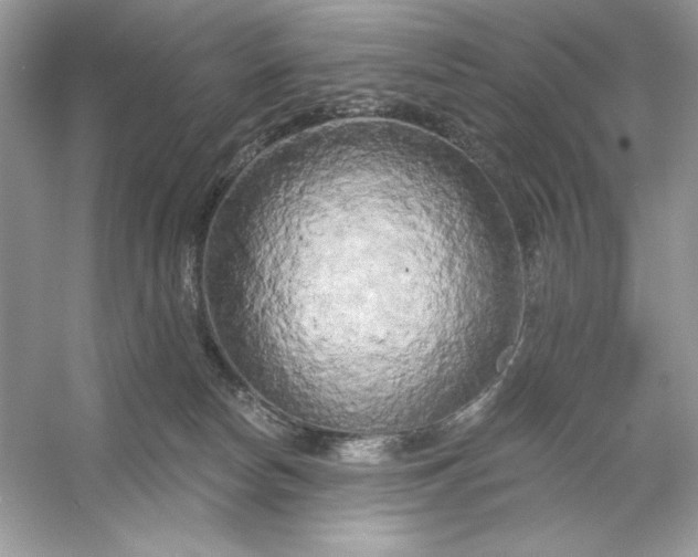 X0000053140178200507251825