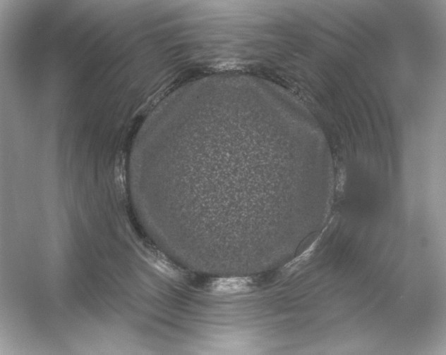 X0000053140179200507251825