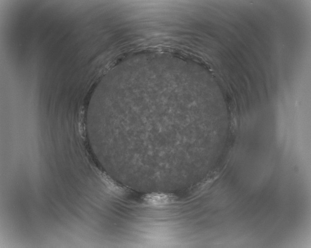 X0000053140181200507251825