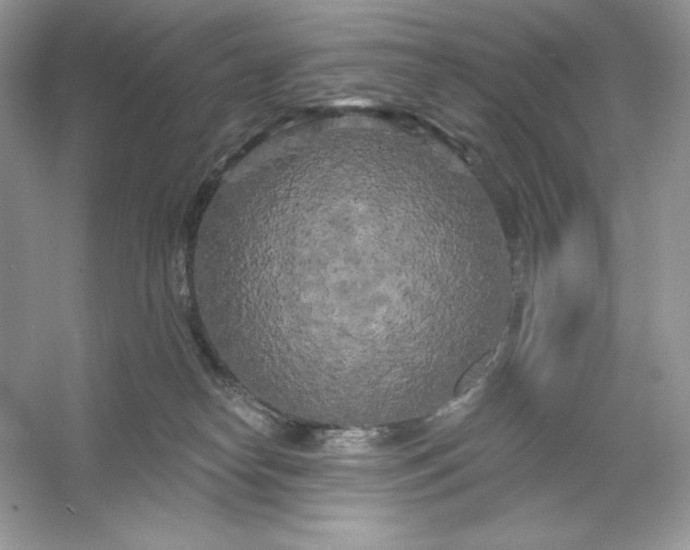 X0000053140182200507251825