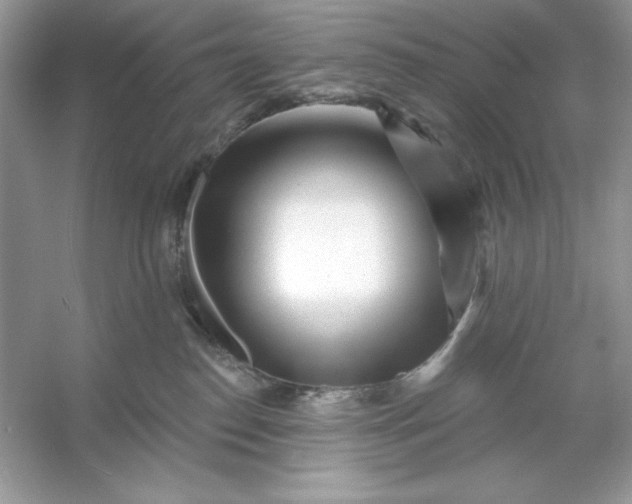 X0000053140186200507251825
