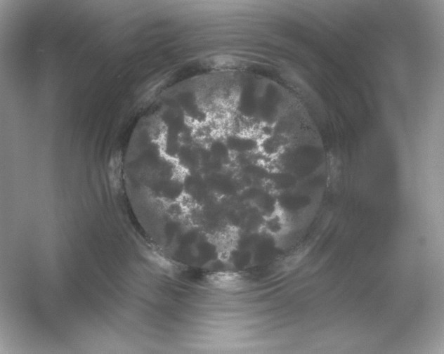 X0000053140189200507251825