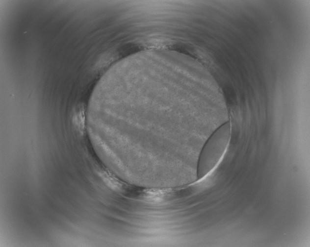 X0000053140190200507251825