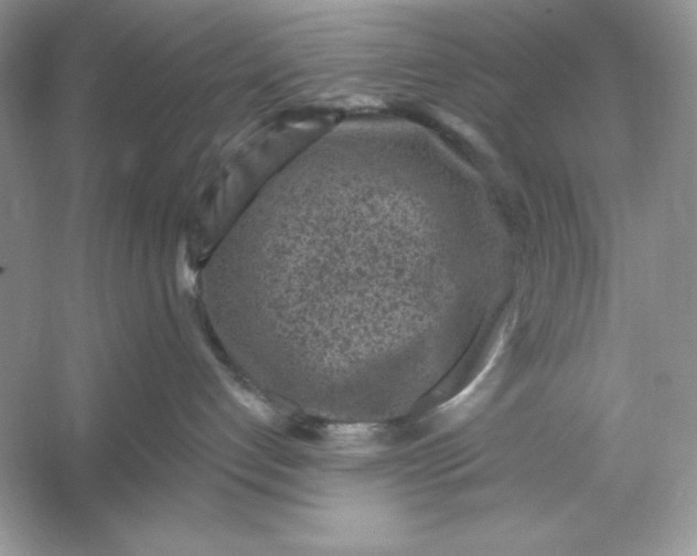 X0000053140192200507251825
