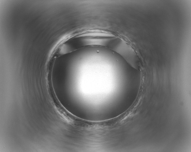 X0000053140197200507251824