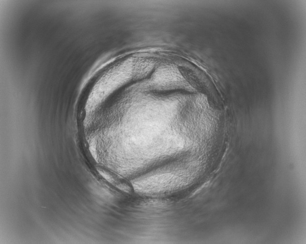 X0000053140198200507251824