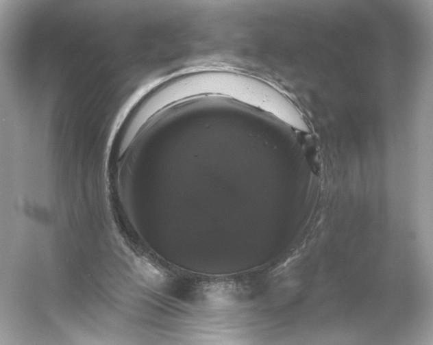 X0000053140200200507251824