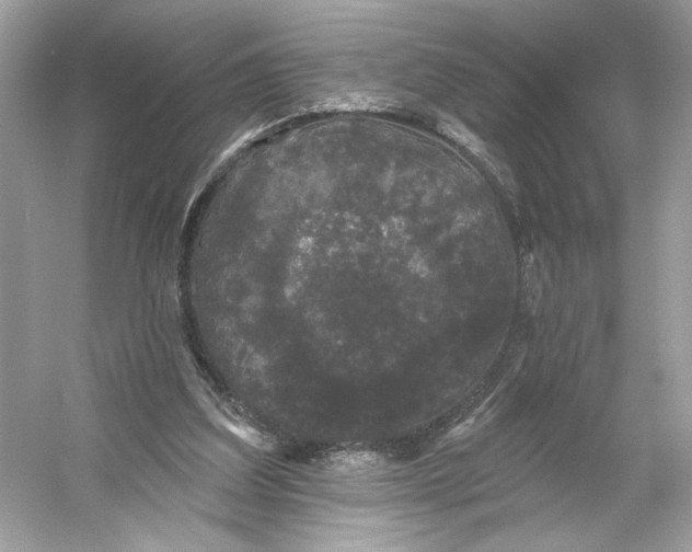 X0000053140203200507251824