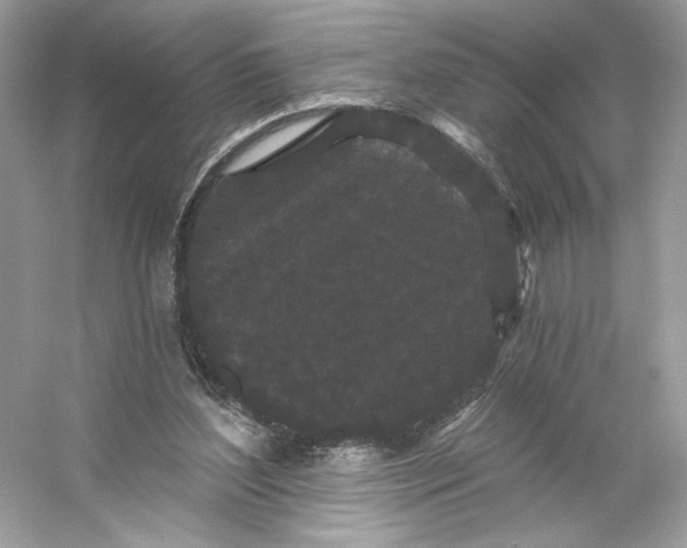 X0000053140204200507251824