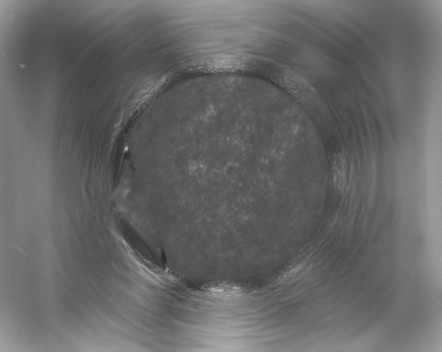 X0000053140206200507251824