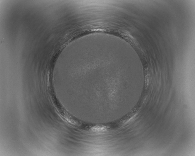 X0000053140213200507251824