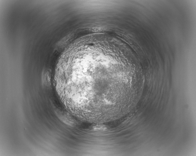 X0000053140214200507251824