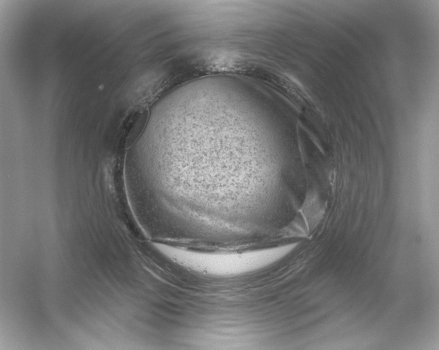 X0000053140217200507251824