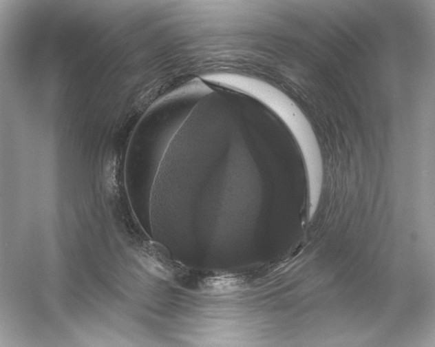 X0000053140219200507251824